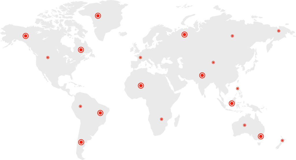 Internationale Fernumzüge Dresden